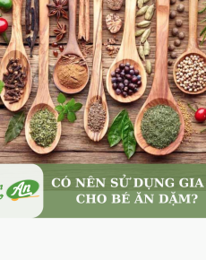 Có nên sử dụng gia vị cho bé ăn dặm?