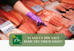 Vì sao cá hồi Nauy được yêu thích nhất