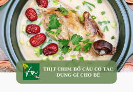 Thịt chim bồ câu có tác dụng gì cho bé?
