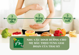 Nhu cầu dinh dưỡng cho mẹ bầu theo từng giai đoạn của thai kỳ