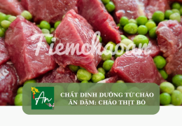 Chất dinh dưỡng từ cháo ăn dặm: Cháo thịt bò