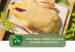 Chất dinh dưỡng từ cháo ăn dặm: Cháo ngan