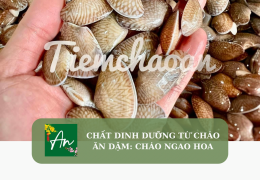Chất dinh dưỡng từ cháo ăn dặm: Cháo ngao hoa