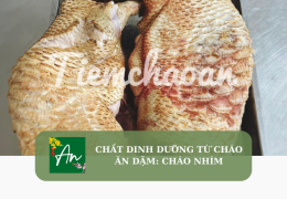 Chất dinh dưỡng từ cháo ăn dặm: Cháo nhím