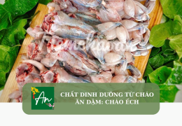 Chất dinh dưỡng từ cháo ăn dặm: Cháo ếch