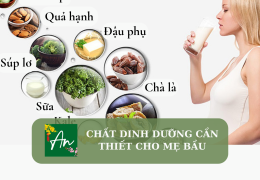 Chất dinh dưỡng cần thiết cho mẹ bầu