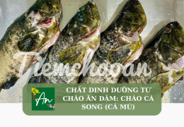 Chất dinh dưỡng từ cháo ăn dặm: Cháo cá song (cá mú)