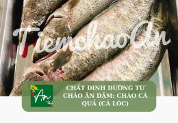 Chất dinh dưỡng từ cháo ăn dặm: Cháo cá quả (cá lóc)