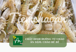 Chất dinh dưỡng từ cháo ăn dặm: Cháo bề bề