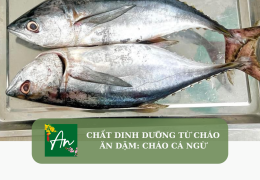 Chất dinh dưỡng từ cháo ăn dặm: Cháo cá ngừ
