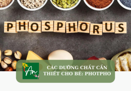 Các chất dinh dưỡng cần thiết cho bé: Photpho