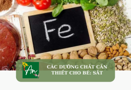 Các chất dinh dưỡng cần thiết cho bé: Sắt