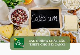 Các chất dinh dưỡng cần thiết cho bé: Canxi