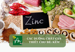 Các chất dinh dưỡng cần thiết cho bé: Kẽm