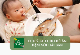 Lưu ý khi cho bé ăn dặm với hải sản