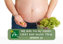 Mẹ bầu và sự thiếu chất khi mang thai (Phần 2)