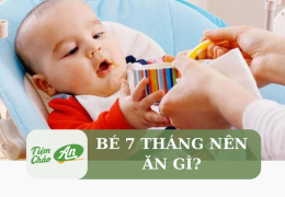 Bé 7 tháng nên ăn gì?