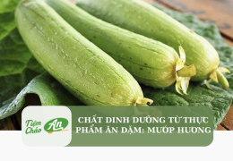 Chất dinh dưỡng từ thực phẩm ăn dặm: Mướp hương