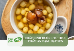 Chất dinh dưỡng từ thực phẩm ăn dặm: Hạt sen