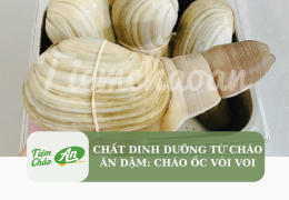 Chất dinh dưỡng từ cháo ăn dặm: Cháo ốc vòi voi